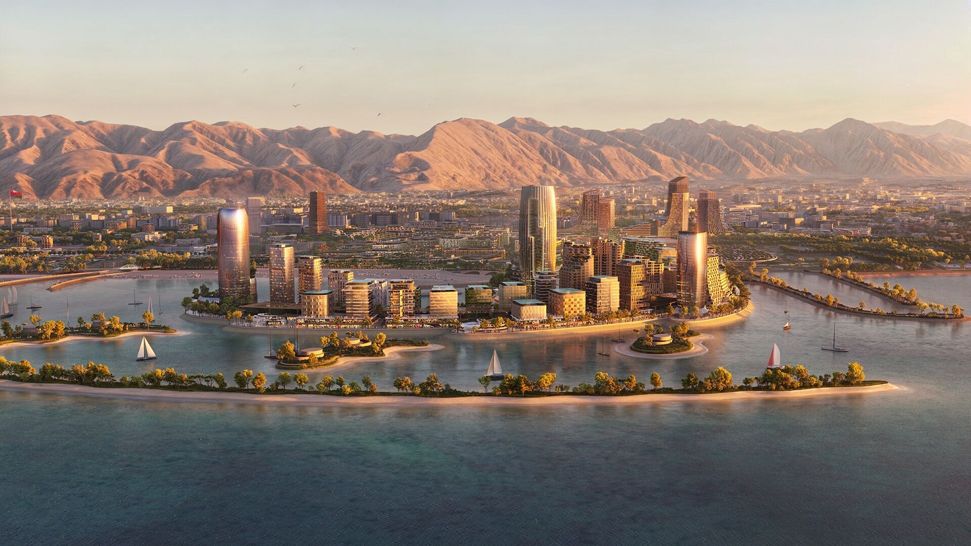 Omani Tech Leadership